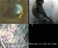 m parent returns lto empty nest