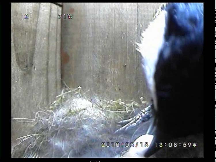 Gr8Tit-2010-05-18-22h33m44s253