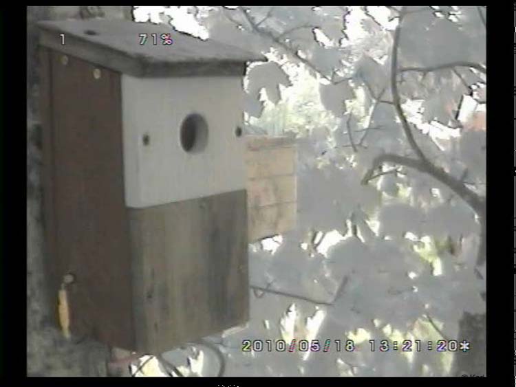 Gr8Tit-2010-05-18-22h34m13s57