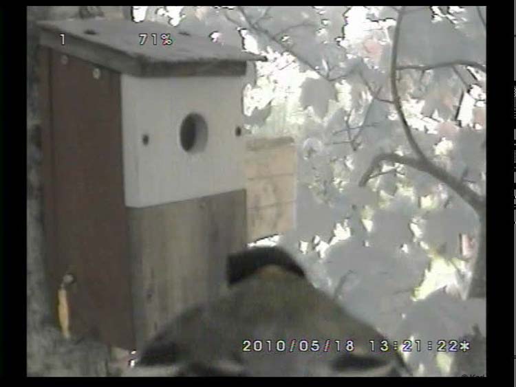 Gr8Tit-2010-05-18-22h34m43s71