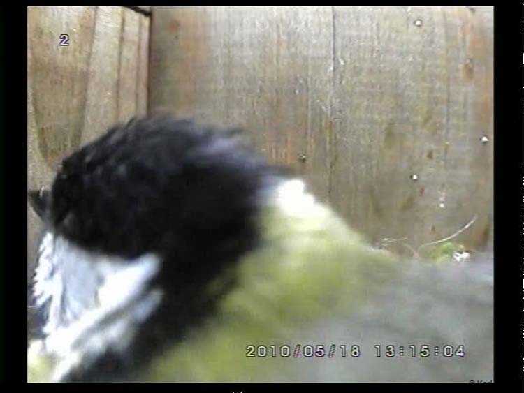 Gr8Tit-2010-05-18-23h01m10s84