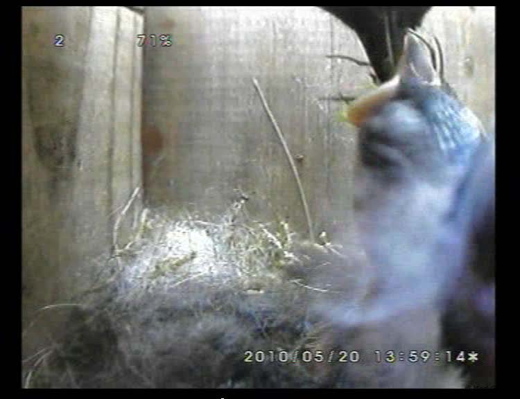 Gr8Tit-2010-05-20-23h05m13s109