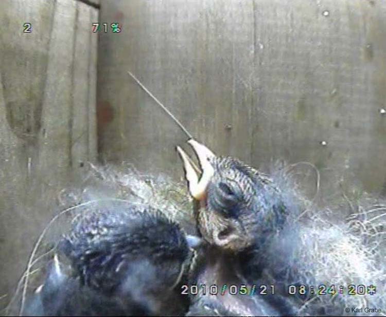 Gr8Tit-2010-05-21-21h49m16s27