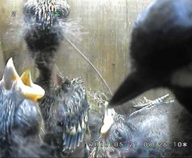 Gr8Tit-2010-05-21-21h51m31s92
