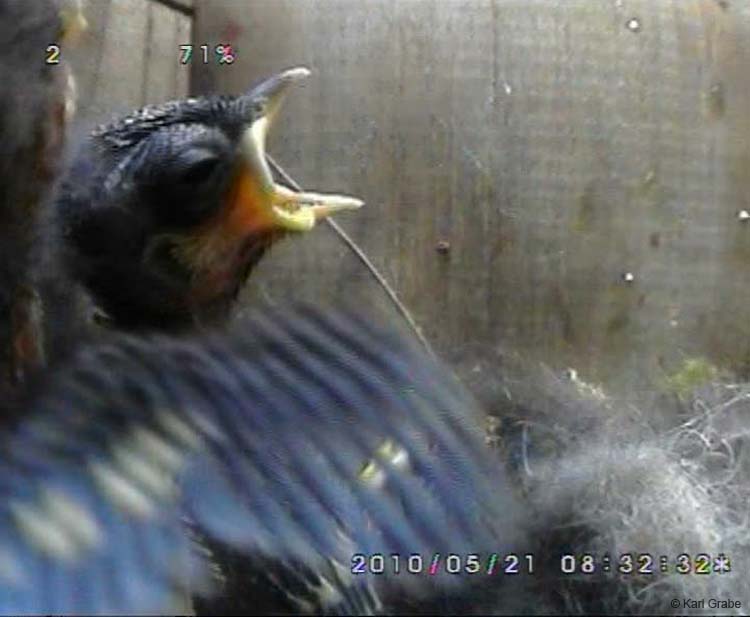 Gr8Tit-2010-05-21-21h52m52s111
