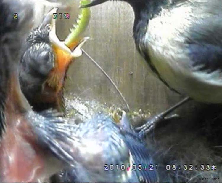 Gr8Tit-2010-05-21-21h53m05s11