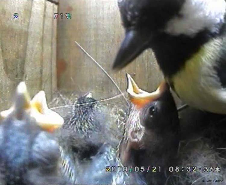 Gr8Tit-2010-05-21-21h55m05s178
