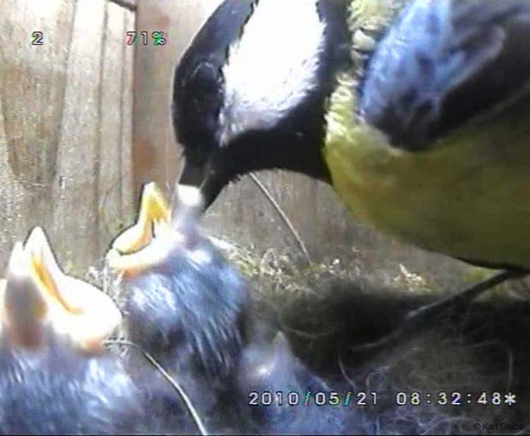 Gr8Tit-2010-05-21-21h58m06s185
