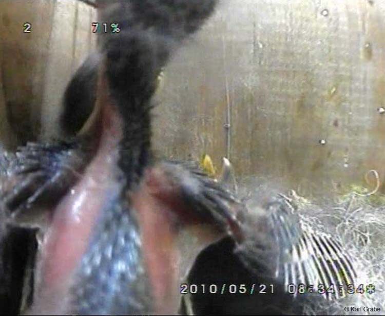 Gr8Tit-2010-05-21-21h59m02s242