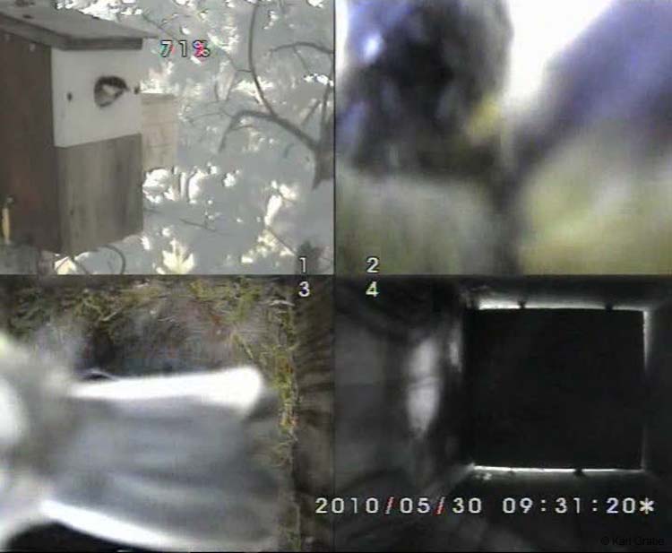 Gr8Tit-2010-05-30-10h45m08s98