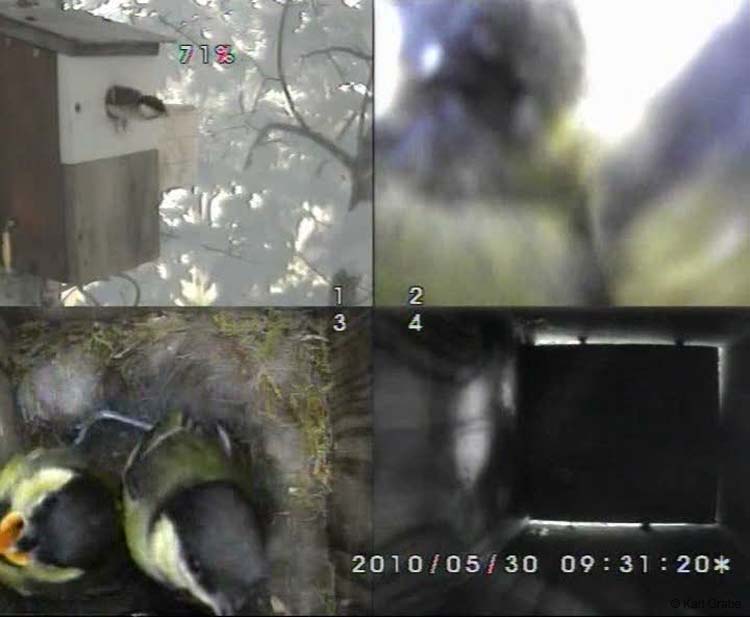 Gr8Tit-2010-05-30-10h45m17s184