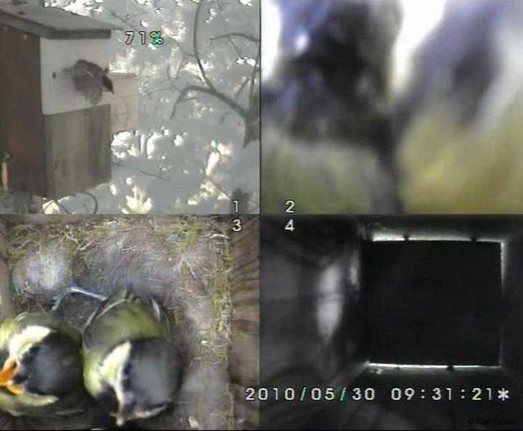 Gr8Tit-2010-05-30-10h45m35s119