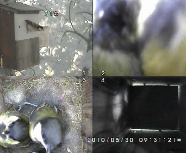 Gr8Tit-2010-05-30-10h45m47s252