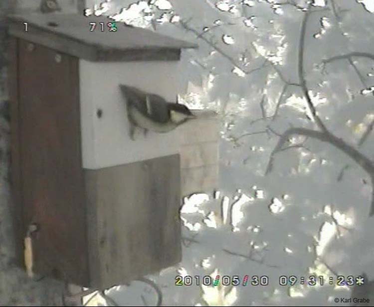 Gr8Tit-2010-05-30-10h46m04s144
