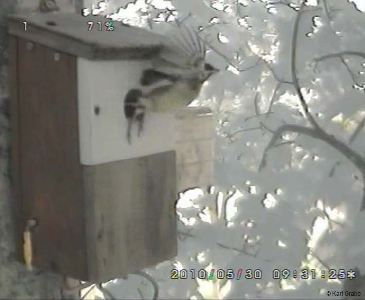 Gr8Tit-2010-05-30-10h46m23s84