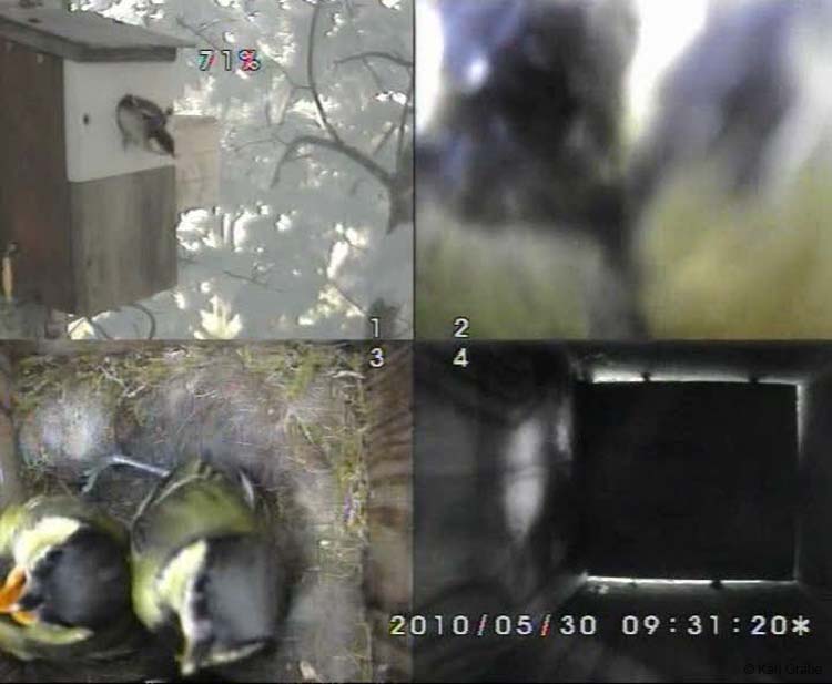 Gr8Tit-2010-05-30-10h48m45s198