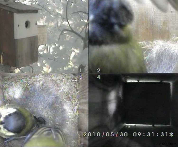 Gr8Tit-2010-05-30-10h49m35s208