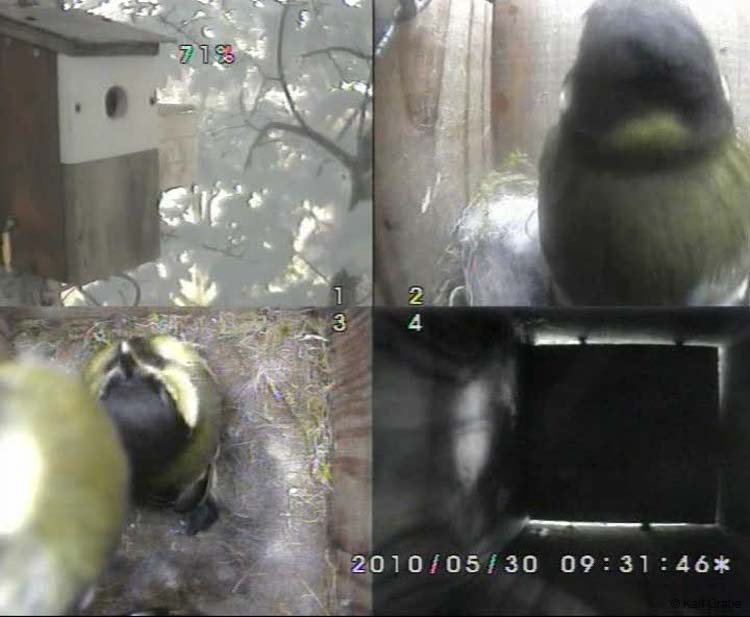 Gr8Tit-2010-05-30-10h49m55s143