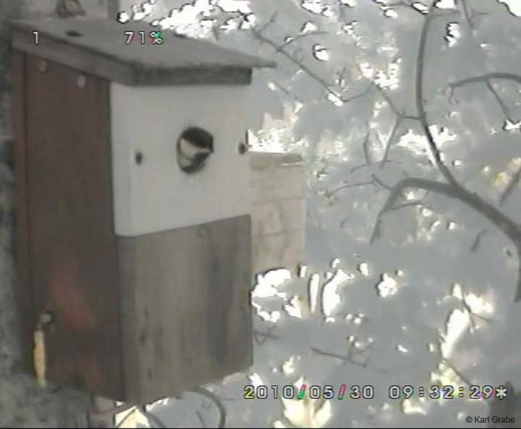 Gr8Tit-2010-05-30-10h51m01s59