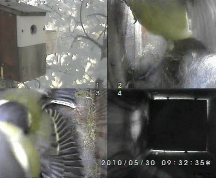 Gr8Tit-2010-05-30-10h51m20s218