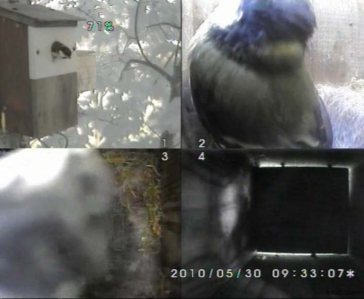 Gr8Tit-2010-05-30-10h52m18s40