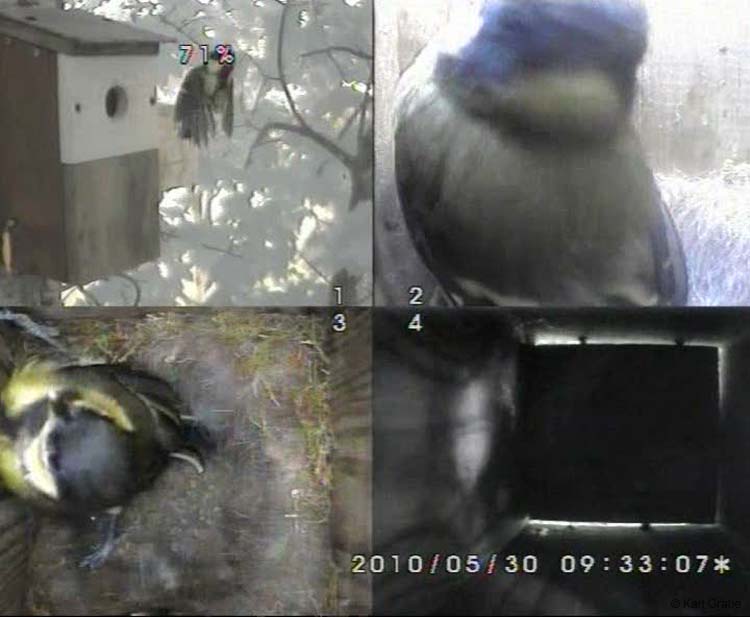 Gr8Tit-2010-05-30-10h52m29s158