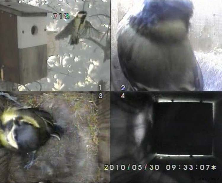 Gr8Tit-2010-05-30-10h53m11s61