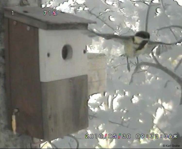 Gr8Tit-2010-05-30-10h55m11s219