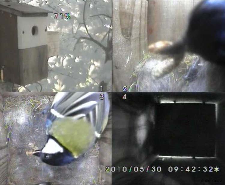 Gr8Tit-2010-05-30-13h14m06s97