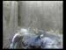 Gr8Tit-2010-05-20-23h00m10s147