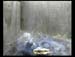 Gr8Tit-2010-05-20-23h01m51s158
