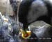 Gr8Tit-2010-05-21-21h51m18s208