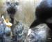 Gr8Tit-2010-05-21-21h51m31s92