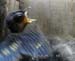 Gr8Tit-2010-05-21-21h52m52s111
