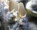 Gr8Tit-2010-05-21-21h53m38s57