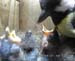 Gr8Tit-2010-05-21-21h55m05s178