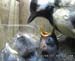 Gr8Tit-2010-05-21-21h56m01s238