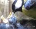 Gr8Tit-2010-05-21-21h58m06s185