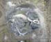 Gr8Tit-2010-05-24-01h11m59s180