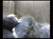 Gr8Tit-2010-05-25-22h02m34s253