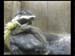 Gr8Tit-2010-05-25-22h07m05s166