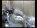 Gr8Tit-2010-05-25-22h08m13s46