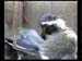 Gr8Tit-2010-05-26-23h49m12s50