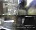 Gr8Tit-2010-05-30-10h45m08s98