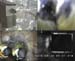 Gr8Tit-2010-05-30-10h45m35s119