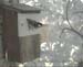 Gr8Tit-2010-05-30-10h46m04s144