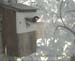 Gr8Tit-2010-05-30-10h46m15s8