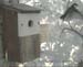 Gr8Tit-2010-05-30-10h47m01s204