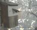 Gr8Tit-2010-05-30-10h48m52s43