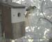 Gr8Tit-2010-05-30-10h49m16s17
